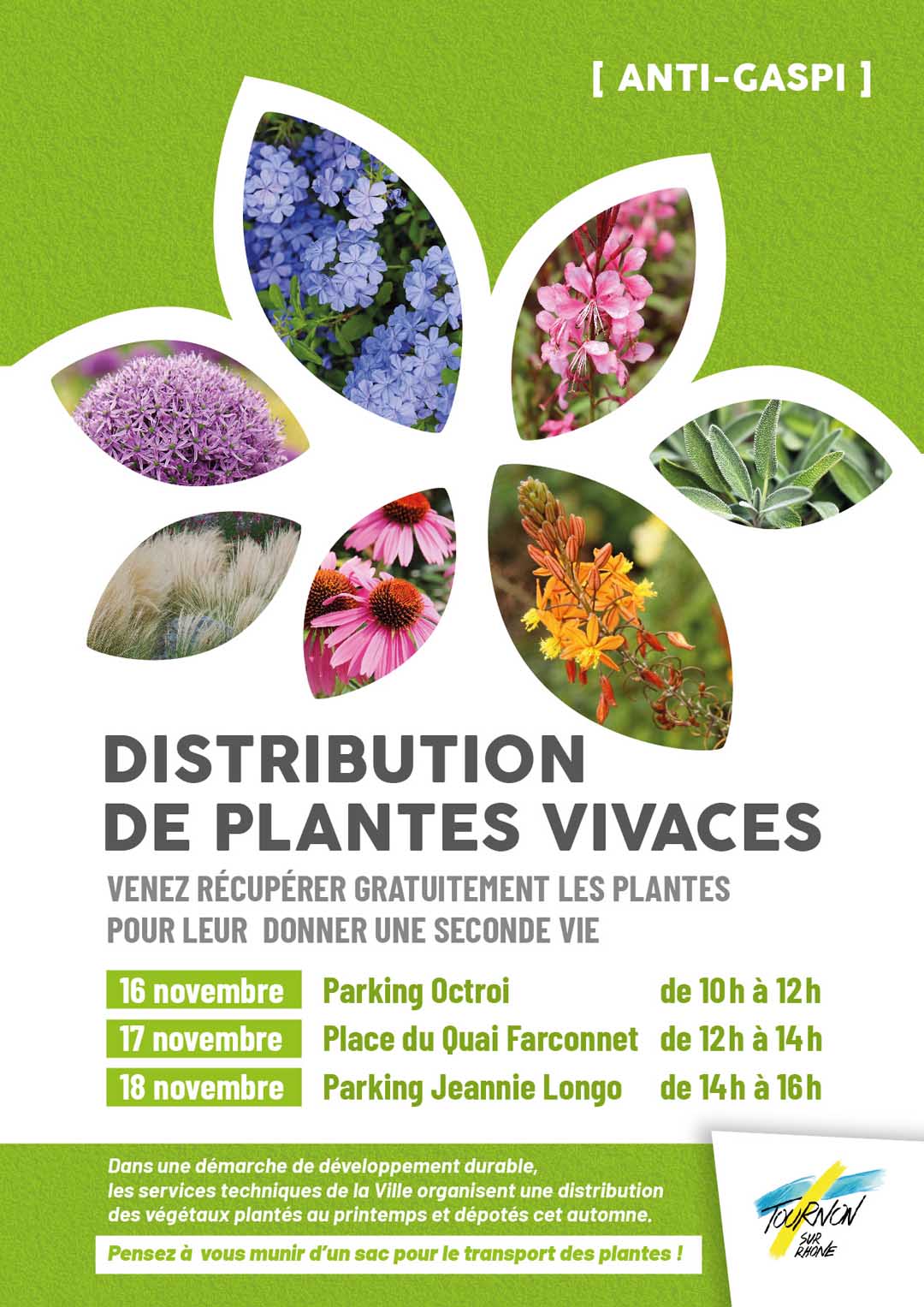 DISTRIBUTION DE PLANTES VIVACES