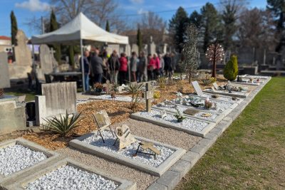 Agrandir l'image 3 sur 3, fenêtre modale