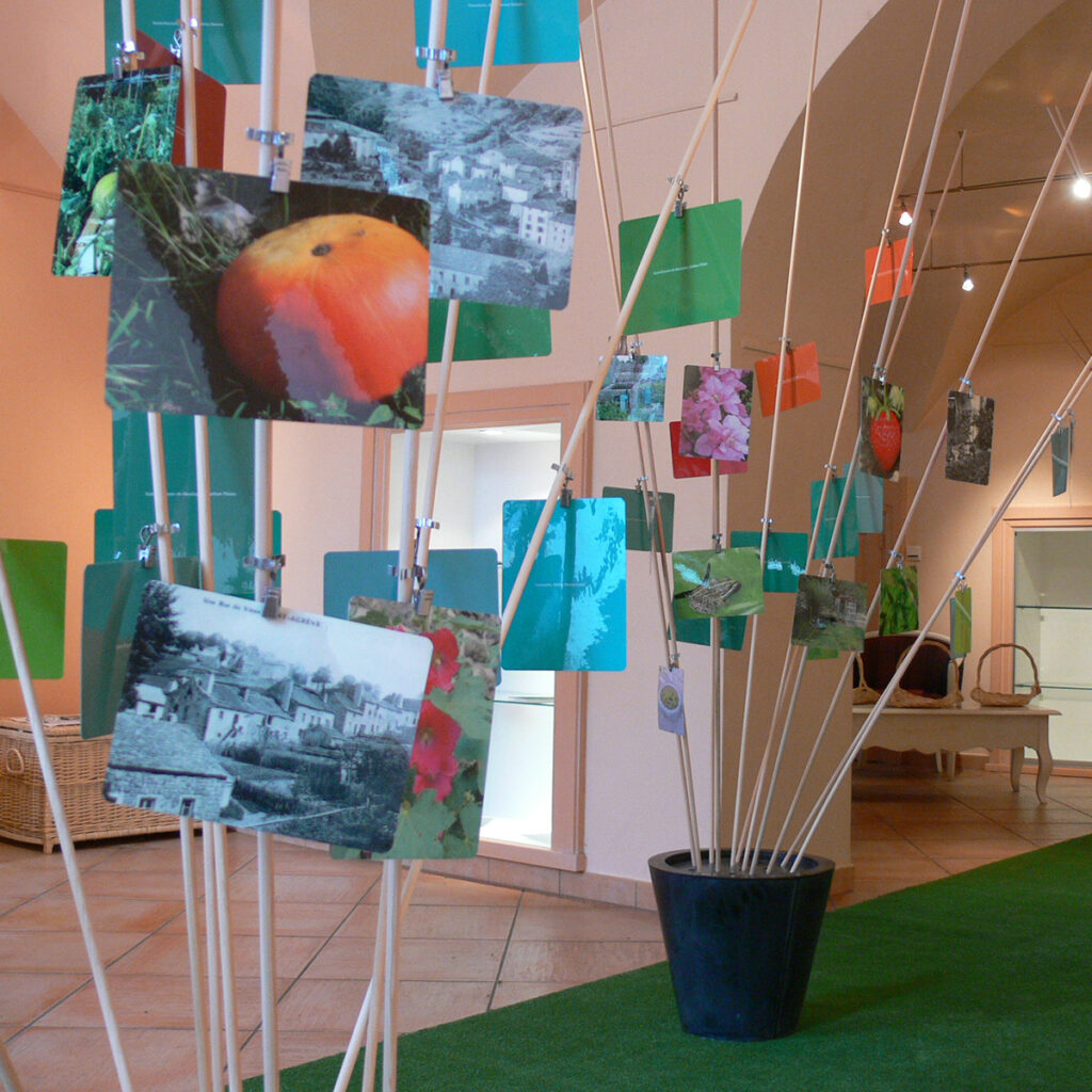 Agrandir l'image, fenêtre modale